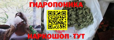 прущий лед Кингисепп