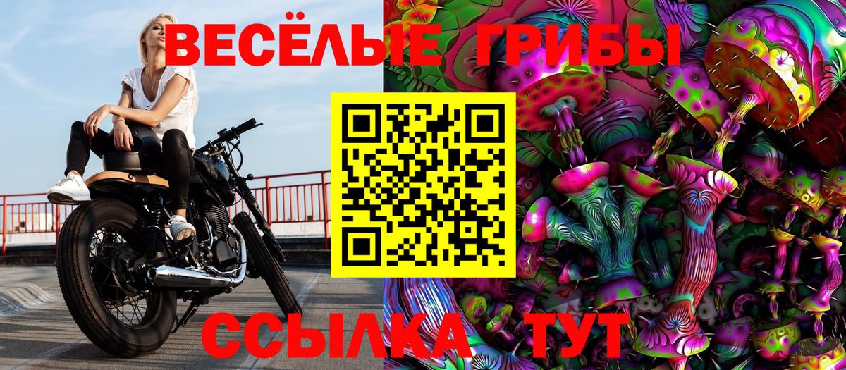 Кохма  Псилоцибиновые грибы MAGIC MUSHROOMS  Вход с VPN 