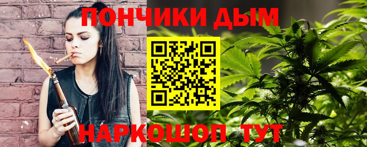 Каннабис марихуана Кохма